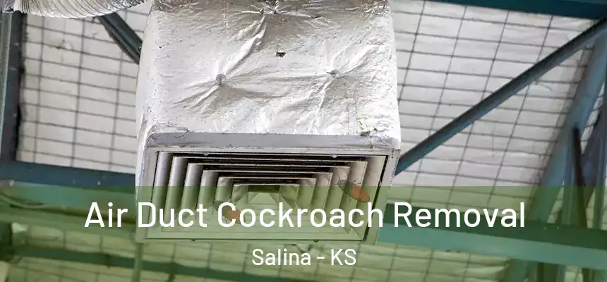  Air Duct Cockroach Removal Salina - KS