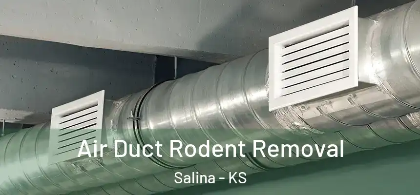 Air Duct Rodent Removal Salina - KS