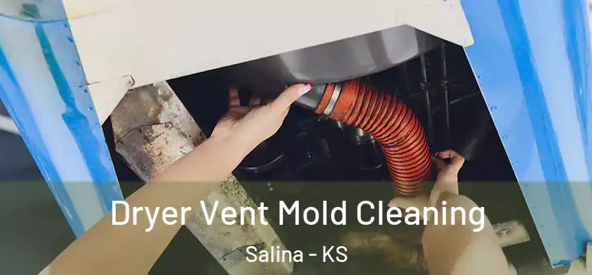  Dryer Vent Mold Cleaning Salina - KS