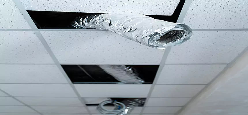 Affordable HVAC Sanitizing After Pest Removal in Salina