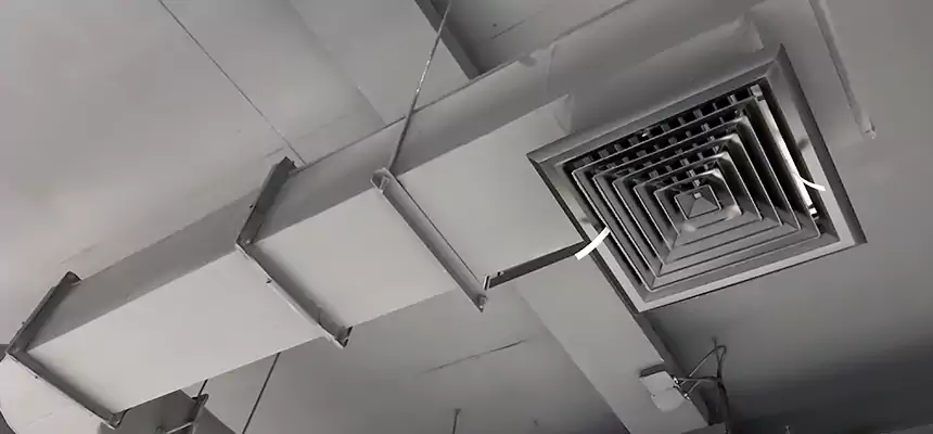 Our Pest Removal From Ducts Services in Salina, KS