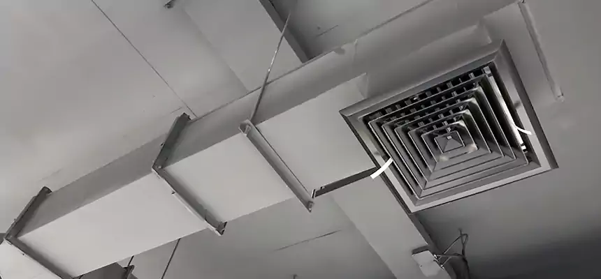 Our Rodent Droppings In Vents Services in Salina, KS