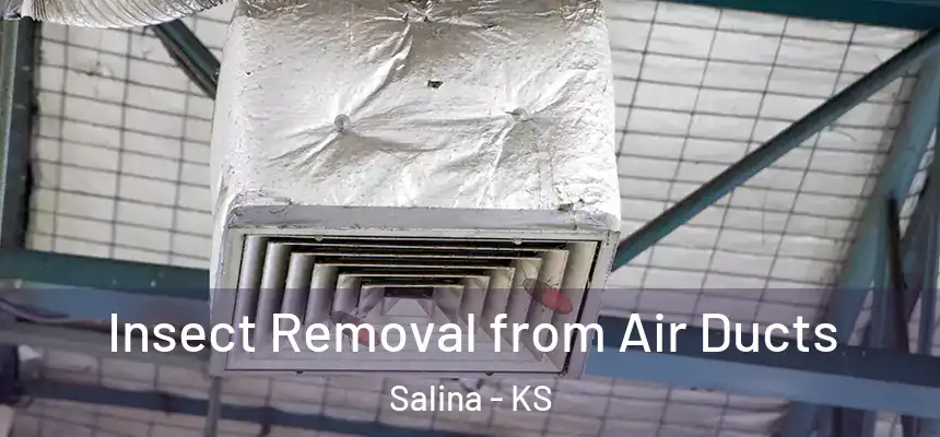 Insect Removal from Air Ducts Salina - KS