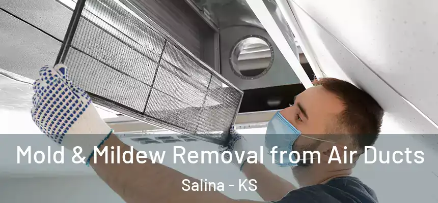 Mold & Mildew Removal from Air Ducts Salina - KS