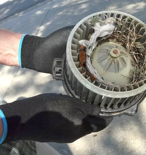 About Air Duct Mice Removal in Salina, KS