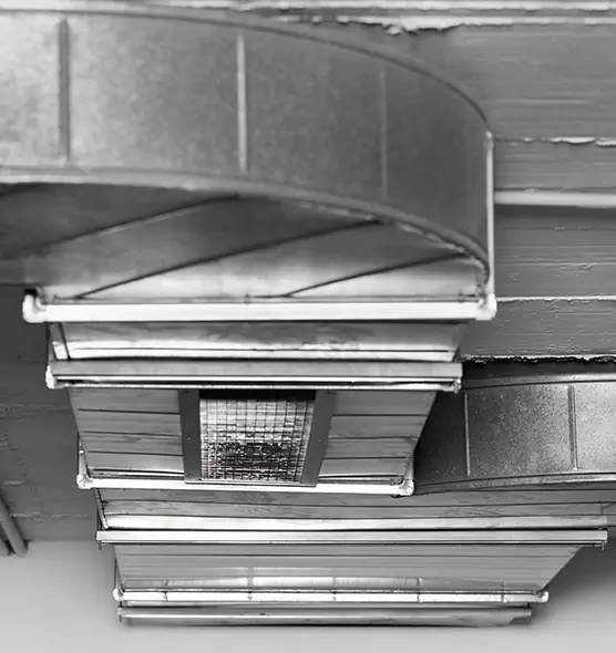 Professional Air Duct Pest Removal in Salina, KS