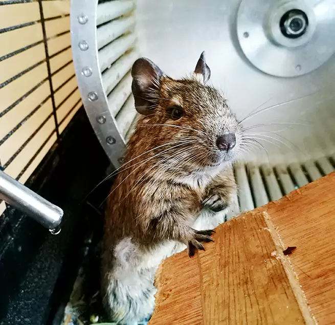 Why Homeowners & Businesses Trust Us Salina, KS