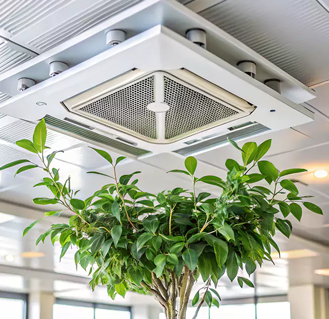 Why Homeowners & Businesses Trust Us in Salina, KS?