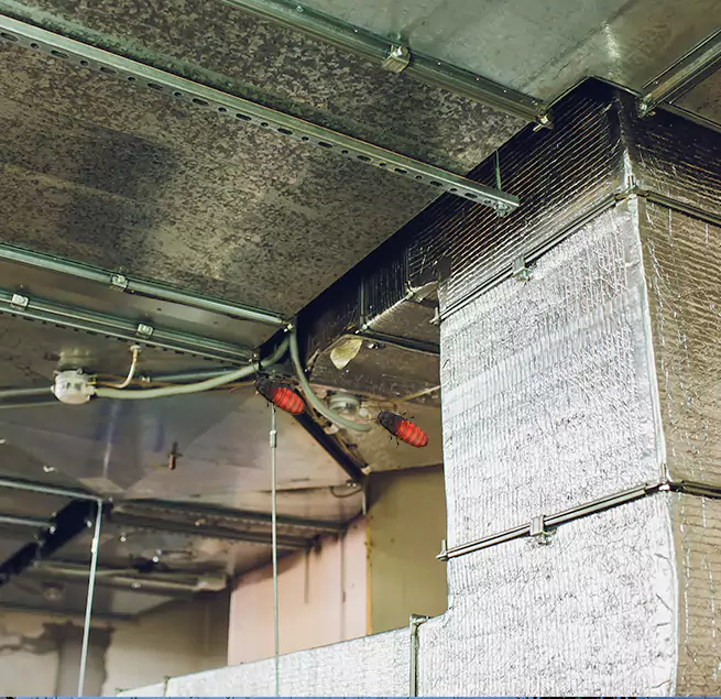 Why Homeowners & Businesses Trust Us Salina, KS?